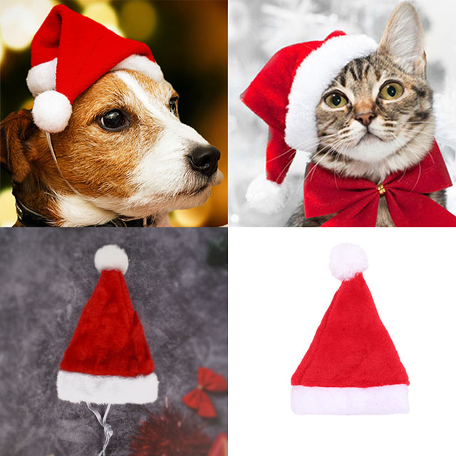 강아지 크리스마스 산타 코스튬 모자 고양이 애견 대형견 산타복 중형견